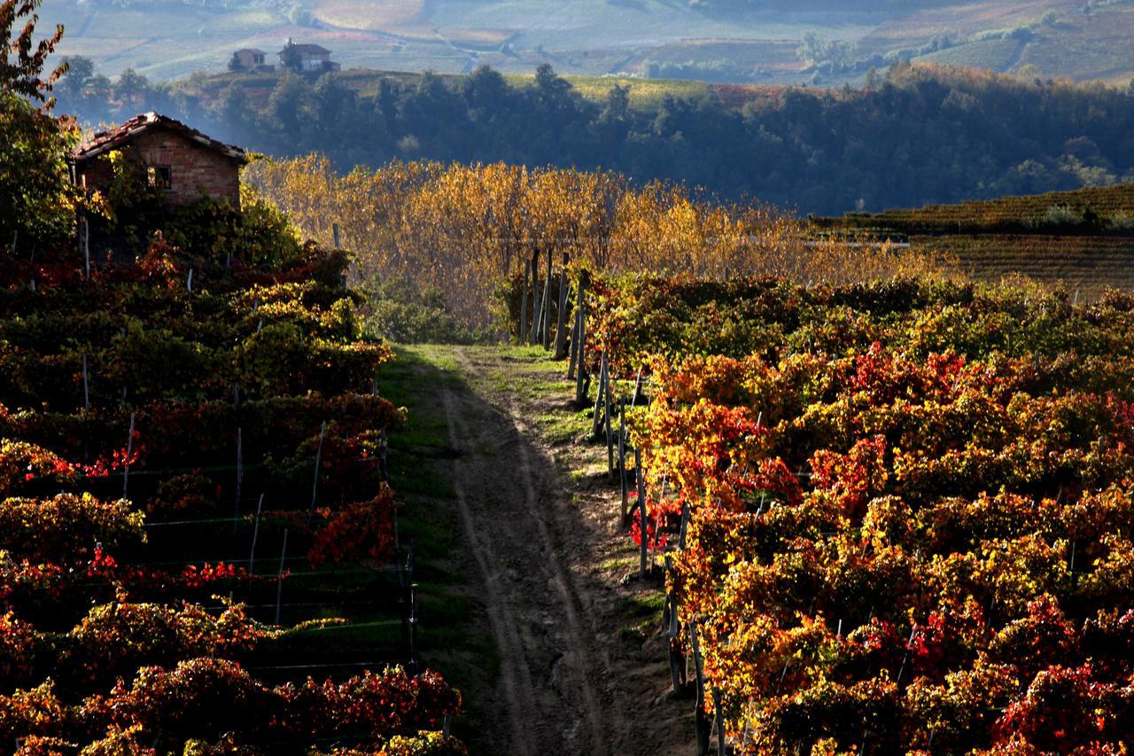 Albergo Castiglione Langhe Castiglione Tinella Eksteriør billede